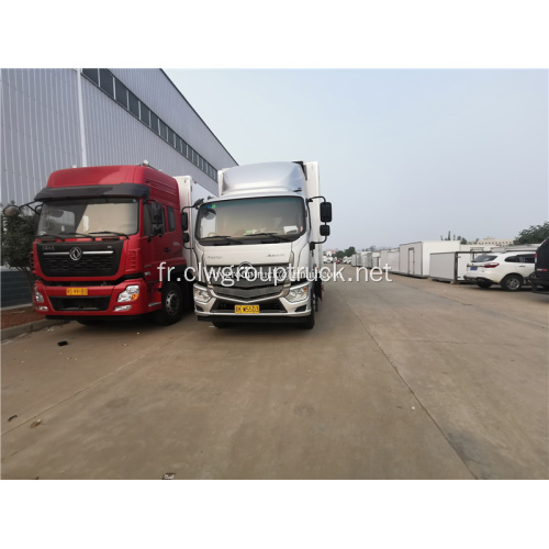 Foton 10T reefer petits camions frigorifiques à vendre